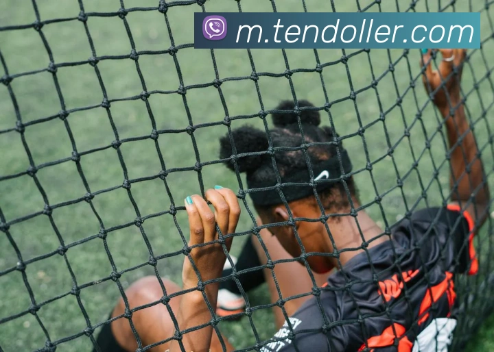 亚新注册服务体系